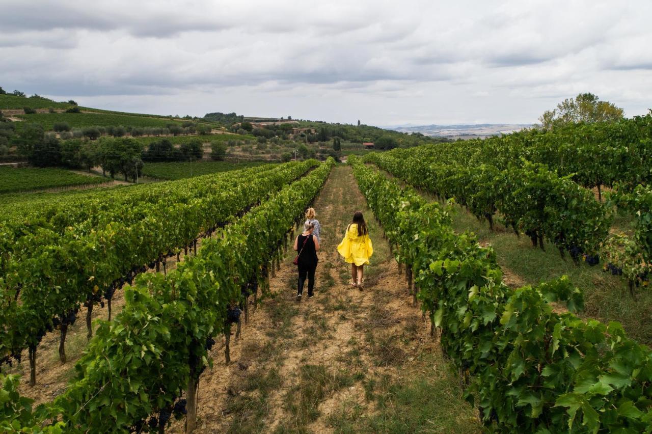 Wine Estate Rooms Paradiso Di Cacuci Montalcino Exterior photo